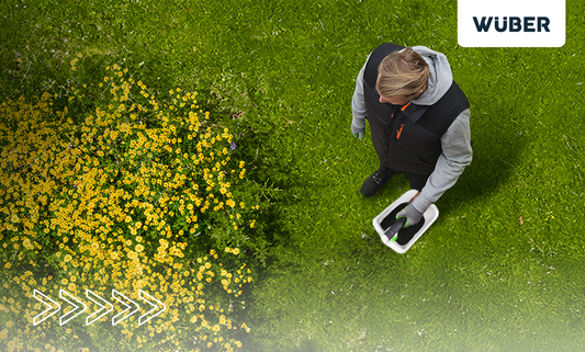 Dosiewanie trawy na murawie – poradnik