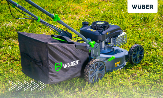 Jak zadbać o trawnik po zimie?