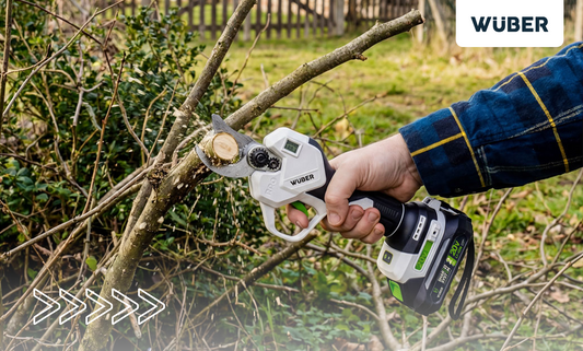 Wiosenne porządki w ogrodzie. Kalendarz prac na wiosnę w ogrodzie