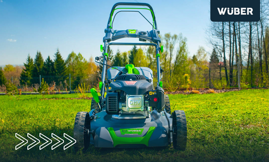 Mulczowanie trawnika – kiedy i jak je wykonać?