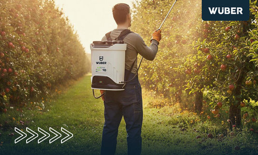 Oprysk drzewek owocowych – kiedy jest potrzebny?