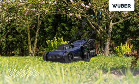 Jaką moc powinna mieć kosiarka elektryczna? Co wybrać?