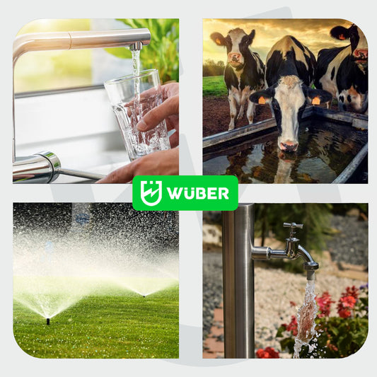 Pompa głębinowa śrubowa 550 W WUBER
